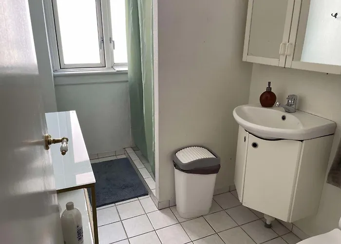 Christianshavns Lakes Koppenhága